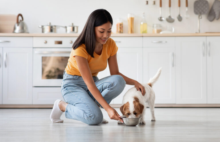 Eigenaar geeft haar hond eten in de keuken