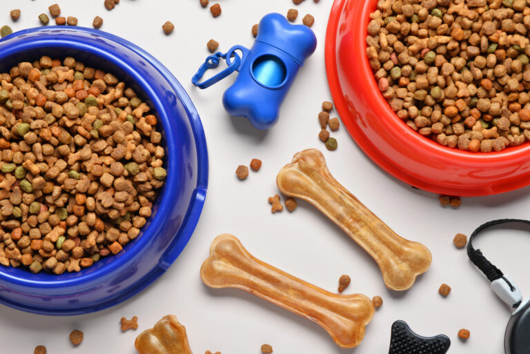 Voerbak met hondenbrokken en snacks
